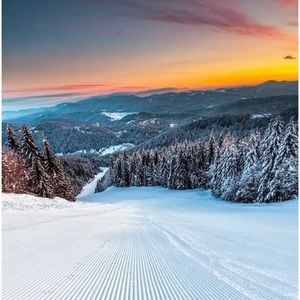 Meet your Posher, Mikayla